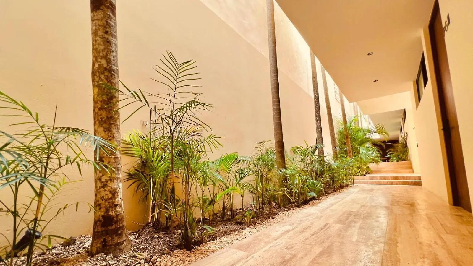 Amethyst - Pool And Gym Only 10 Min To The Free Beach Club Tulum 0*,  Mexico